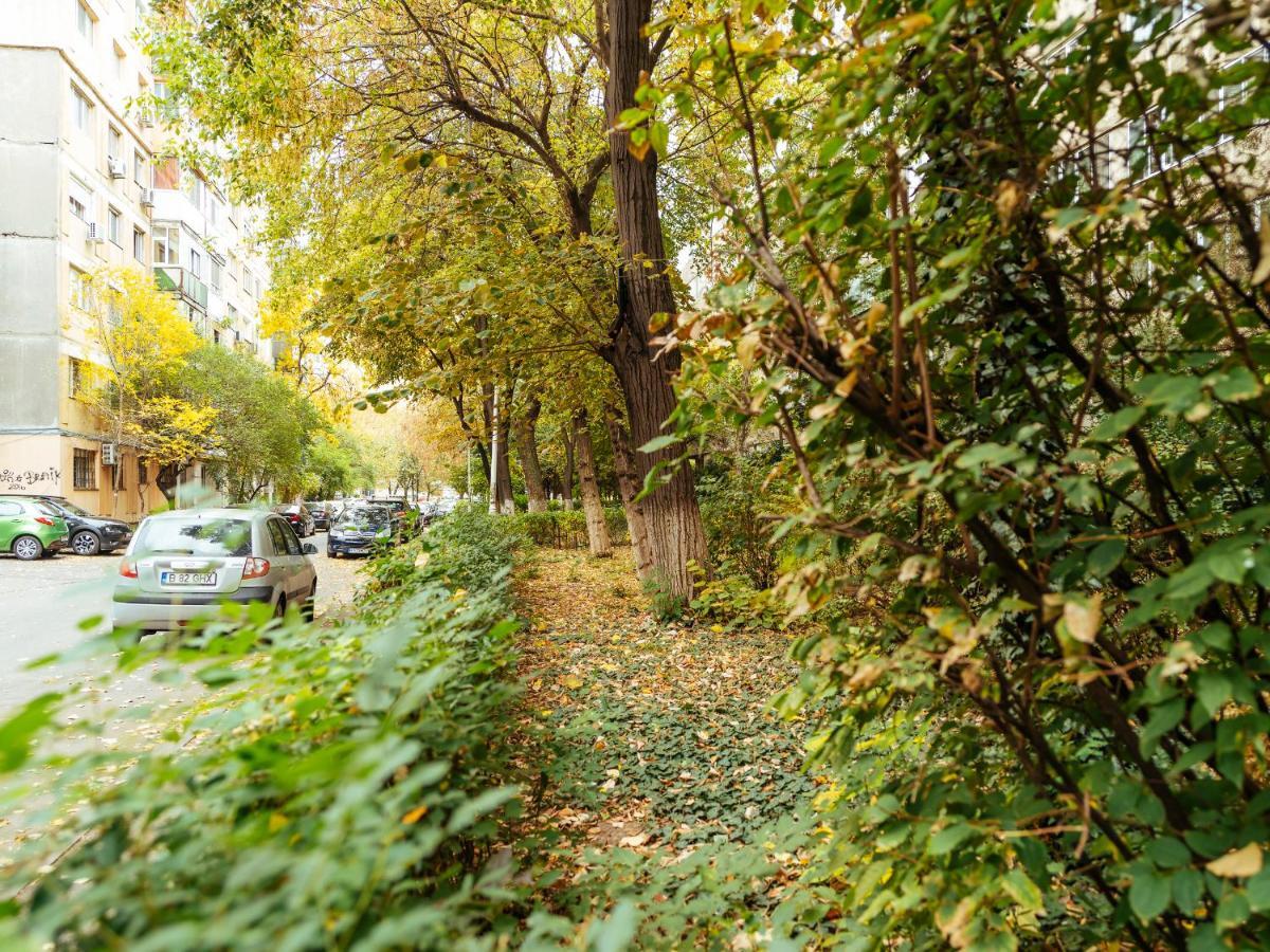 Woody - Cozy And Quiet Place Near Moghioros Park Bukares Bagian luar foto